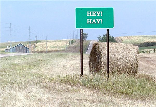 Diseño de Photoshop por frankule para DesignCrowd (Community Contests) | Diseño #9143949