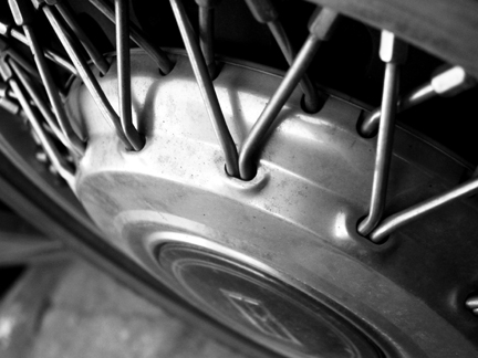 Fotografie von catwoman für DesignCrowd (Community Contests) | Design #9148236