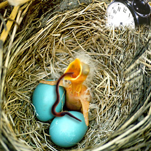 Photoshop Design by Sparkiii for DesignCrowd (Community Contests) | Design #9120206