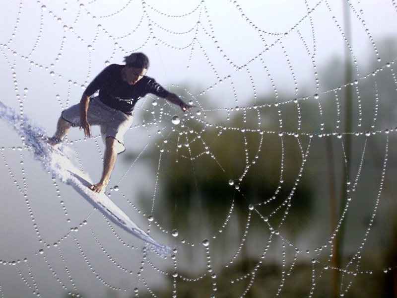 Diseño de Photoshop por TampaDroid para DesignCrowd (Community Contests) | Diseño #9120220