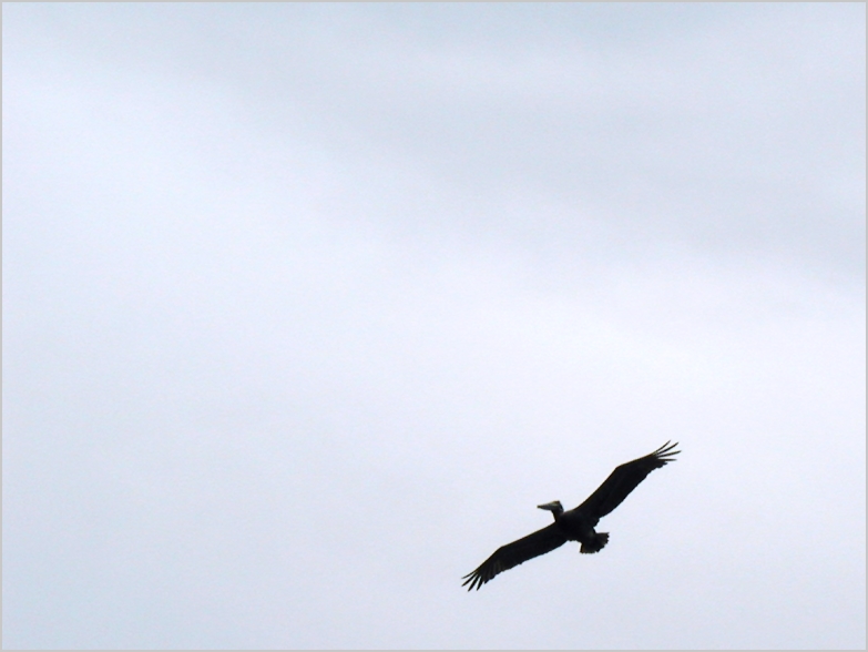 Fotografie von Tommy1de für DesignCrowd (Community Contests) | Design #9144407