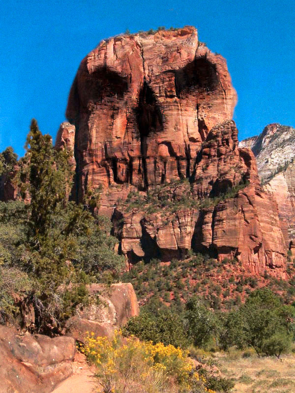 Photoshop Design by Jolt for DesignCrowd (Community Contests) | Design #9128638