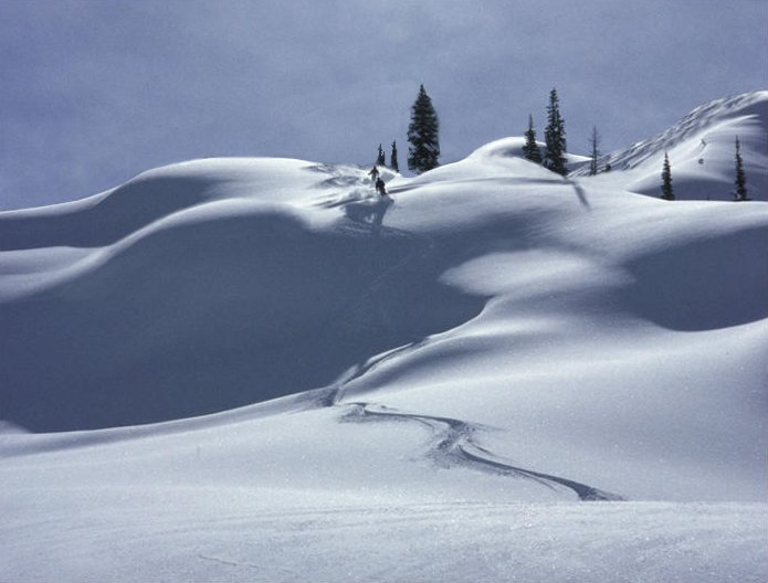 Photoshop Design by Cj for DesignCrowd (Community Contests) | Design #9128685