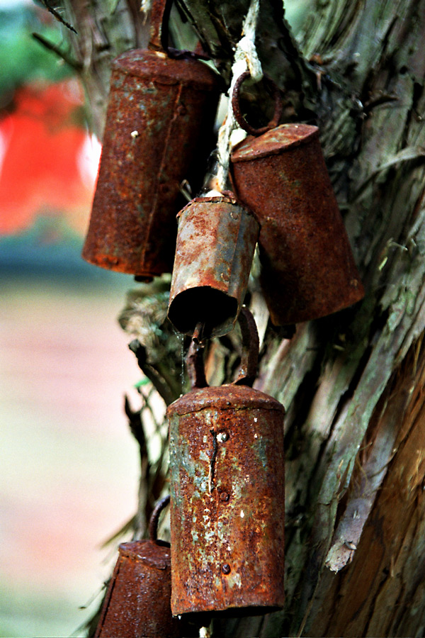 Photography by goblin for DesignCrowd (Community Contests) | Design #9146494