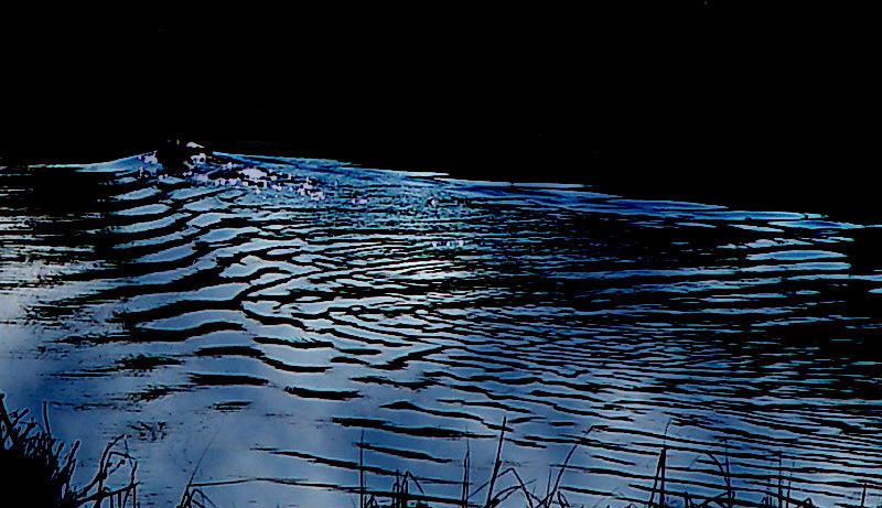 Photographie par dazzle pour DesignCrowd (Community Contests) | Design #9144454