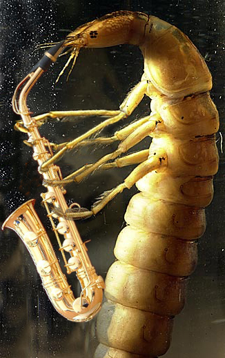 Photoshop Design by Decapod73 for DesignCrowd (Community Contests) | Design #9128776