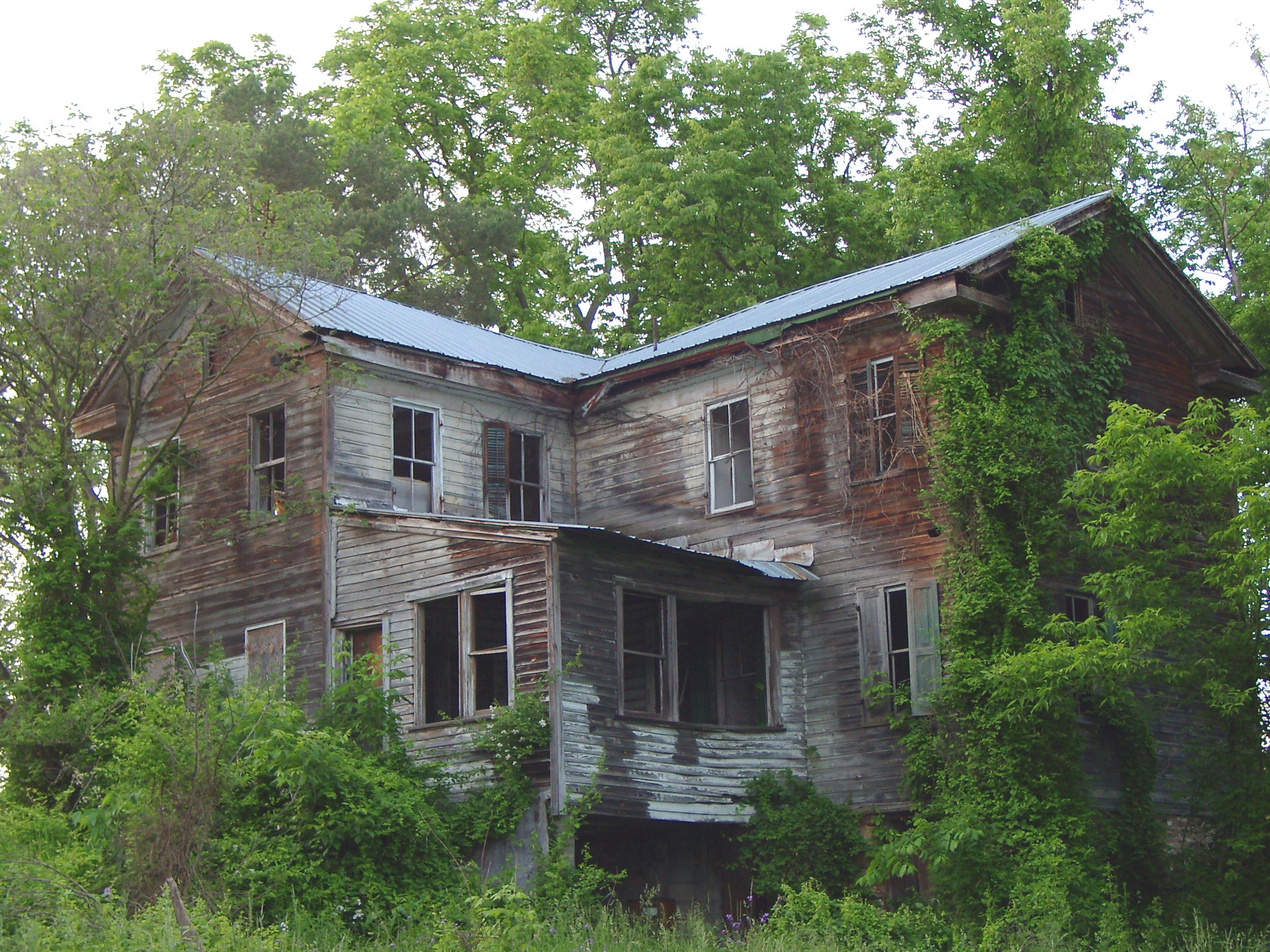 Photography by firebud1 for DesignCrowd (Community Contests) | Design #9146504