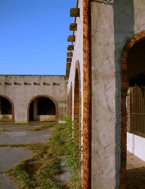 Photography by JacksBlack for DesignCrowd (Community Contests) | Design #9146476