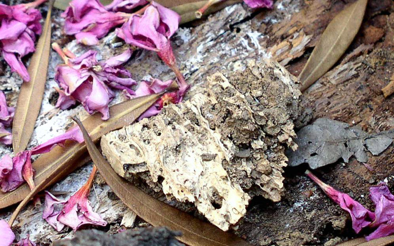 Photography by KeyTapper for DesignCrowd (Community Contests) | Design #9146484