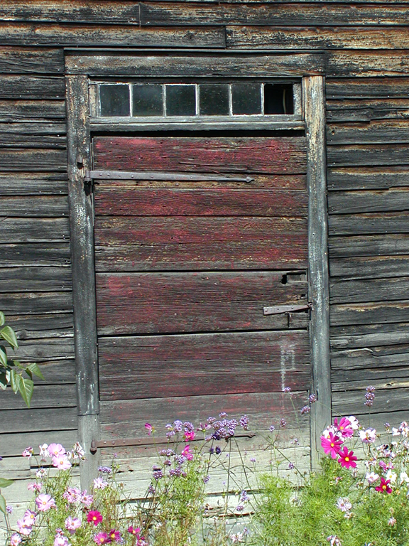 Fotografía por OneHappyFemale para DesignCrowd (Community Contests) | Diseño #9146466