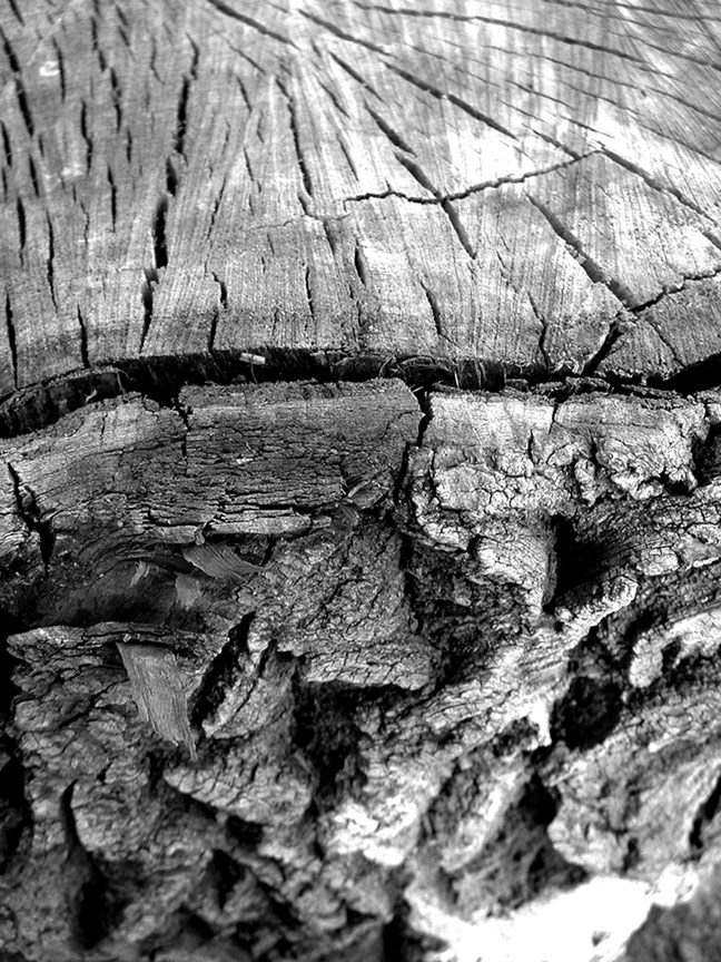 Fotografie von Nought2Brite für DesignCrowd (Community Contests) | Design #9146512