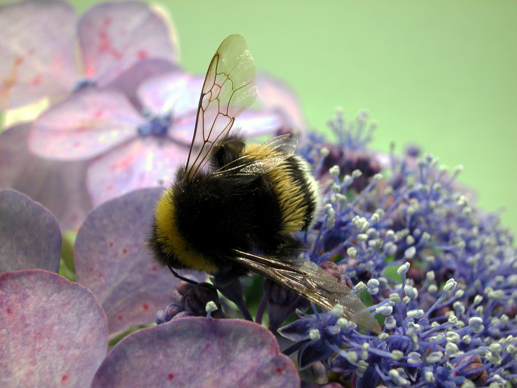 Photography by branie for DesignCrowd (Community Contests) | Design #9143548