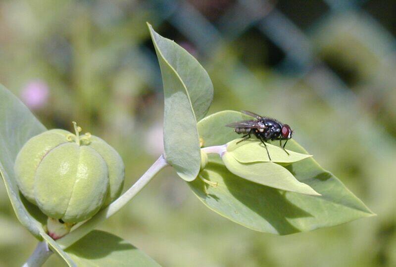 Photography by TyChO for DesignCrowd (Community Contests) | Design #9143552