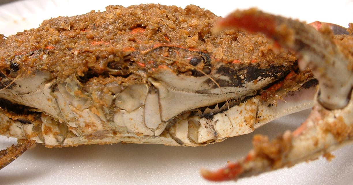 Photographie par blurmore pour DesignCrowd (Community Contests) | Design #9143566