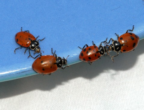 Photography by sns1953 for DesignCrowd (Community Contests) | Design #9143647