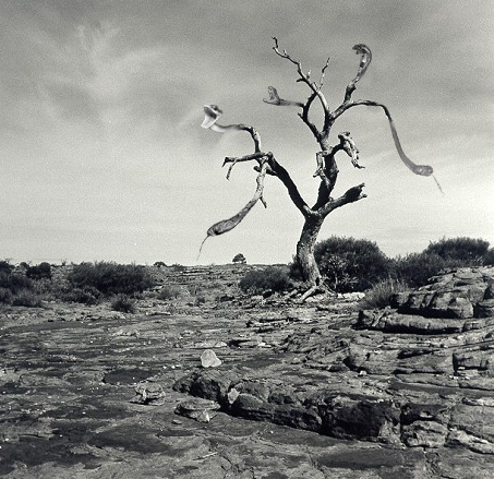 Photoshop Design by Mr_OiZooo for DesignCrowd (Community Contests) | Design #9141046