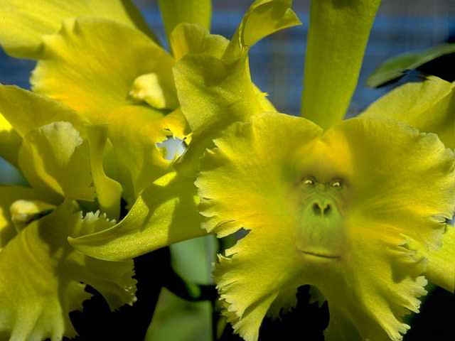 Photoshop Design by Nought2Brite for DesignCrowd (Community Contests) | Design #9141048