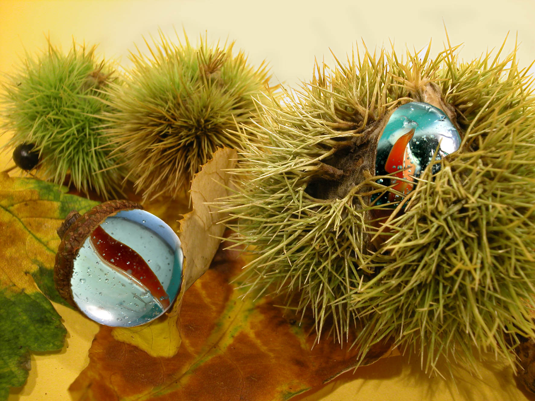 Photoshop Design by branie for DesignCrowd (Community Contests) | Design #9141056