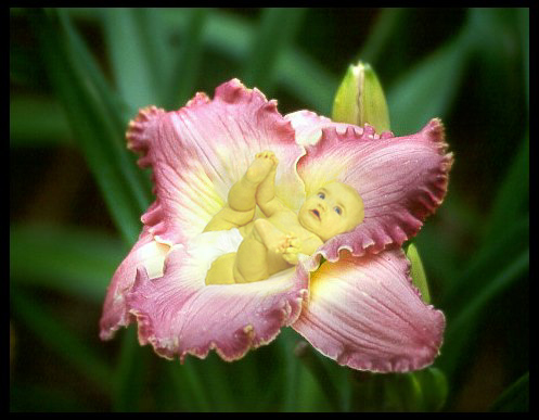 Photoshop Design by DrSopor for DesignCrowd (Community Contests) | Design #9141051