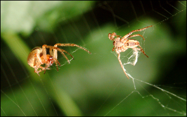 Photography by FastLane for DesignCrowd (Community Contests) | Design #9143613