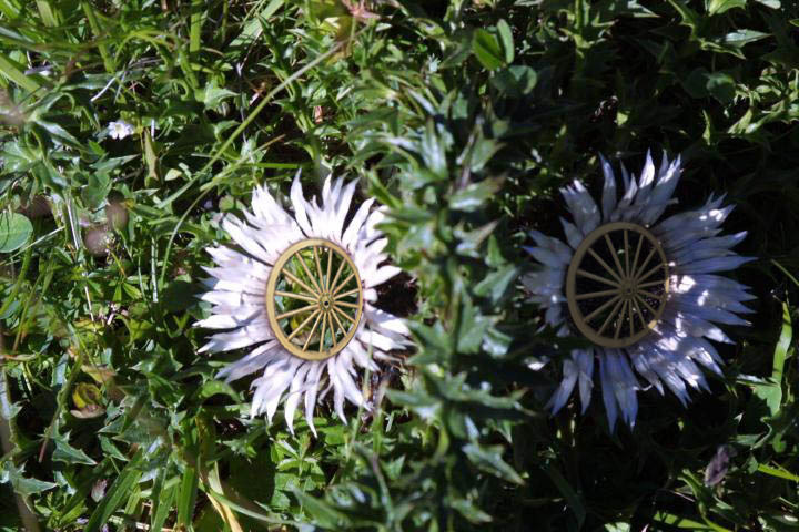 Photoshop Design by iivanov for DesignCrowd (Community Contests) | Design #9141079