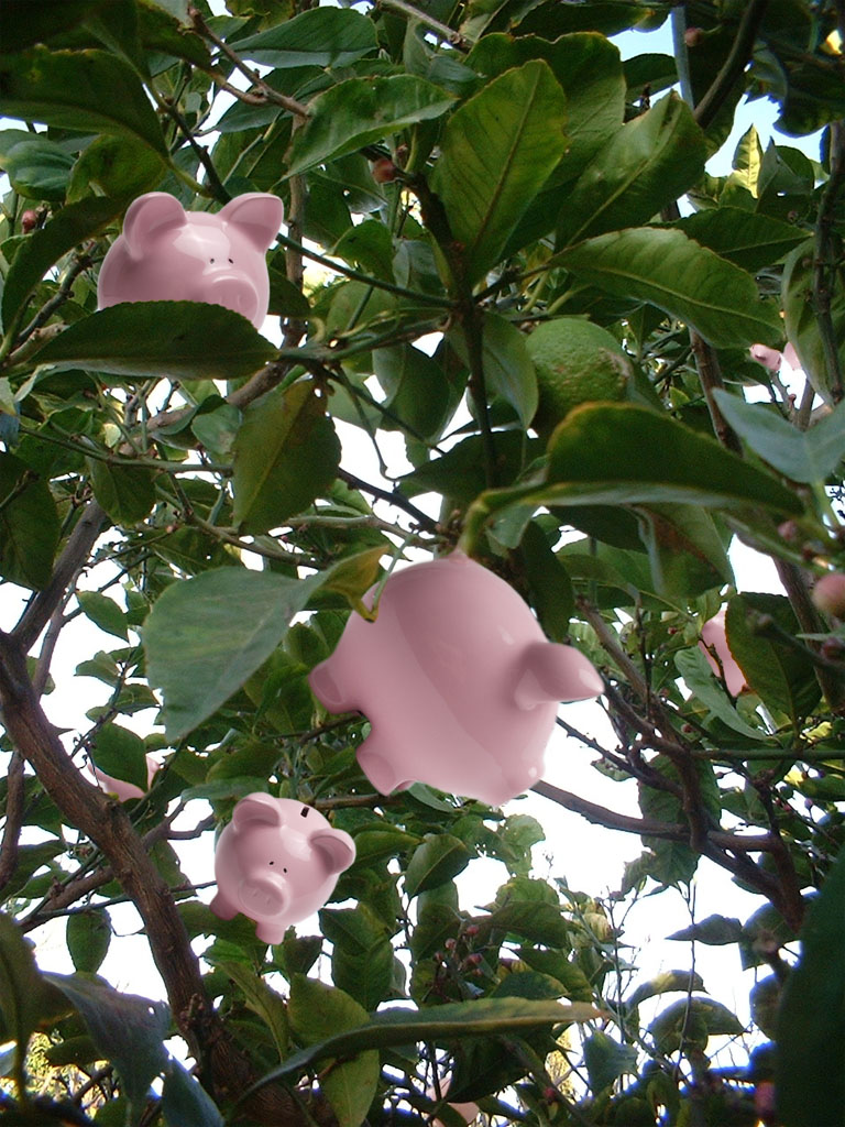 Photoshop Design by ecolio for DesignCrowd (Community Contests) | Design #9141136