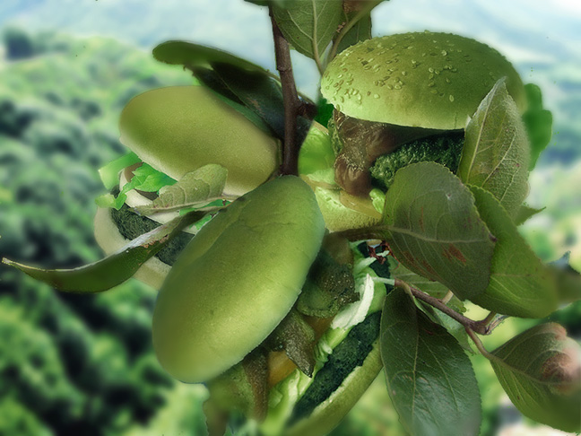 Diseño de Photoshop por Rubbermonster para DesignCrowd (Community Contests) | Diseño #9141144