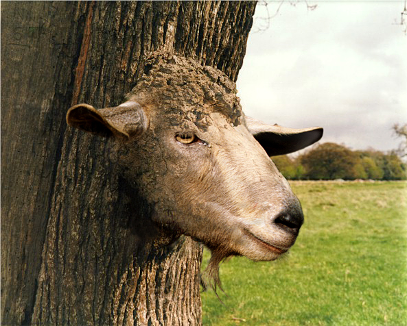 Diseño de Photoshop por neznam para DesignCrowd (Community Contests) | Diseño #9141098