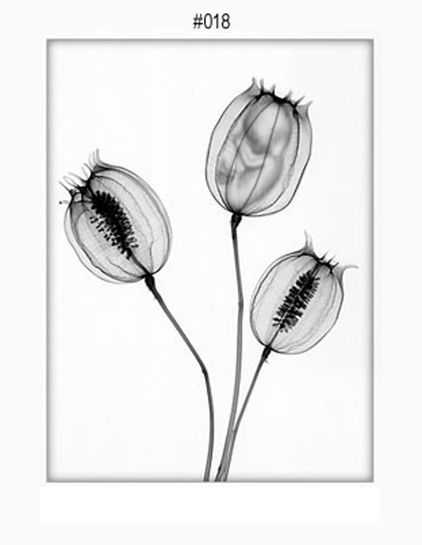 Diseño de Photoshop por BC para DesignCrowd (Community Contests) | Diseño #9141096