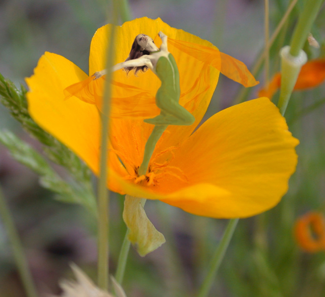 Design Photoshop par Ghost pour DesignCrowd (Community Contests) | Design #9141206