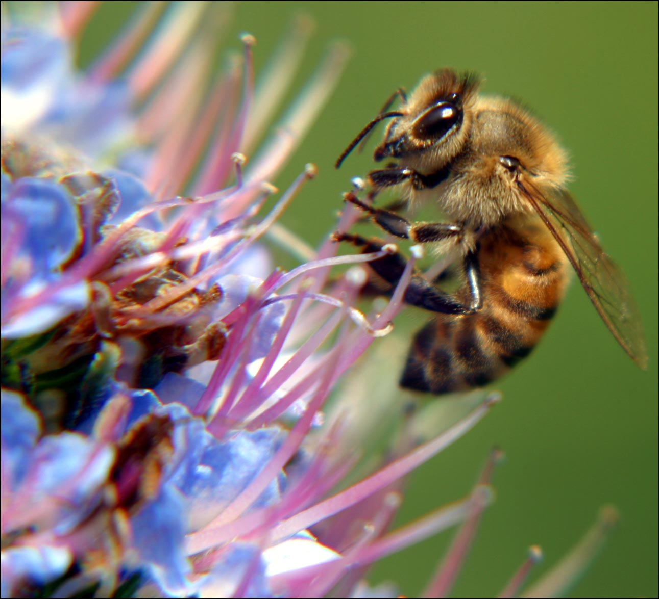 Photography by Fascha for DesignCrowd (Community Contests) | Design #9143602