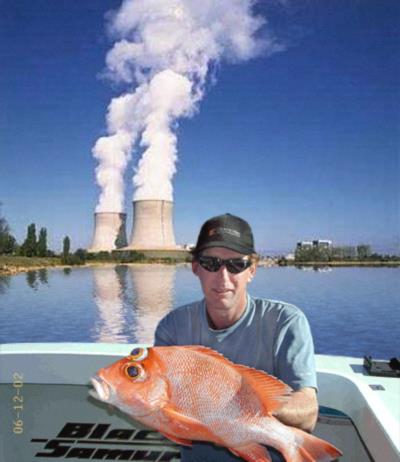 Photoshop Design by cswatco