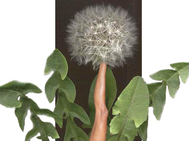 Design Photoshop par sundive-ken pour DesignCrowd (Community Contests) | Design #9141271