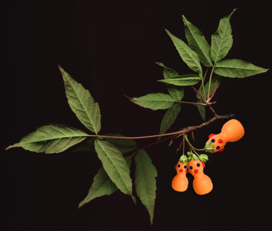 Photoshop-Design von DaftGretel für DesignCrowd (Community Contests) | Design #9141242