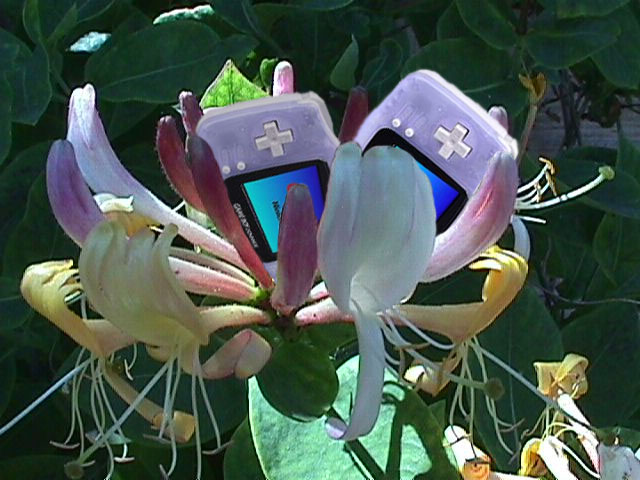 Photoshop Design by mafoca for DesignCrowd (Community Contests) | Design #9141257