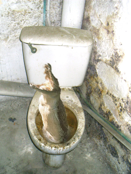 Photoshop Design by Anopheles for DesignCrowd (Community Contests) | Design #9126334