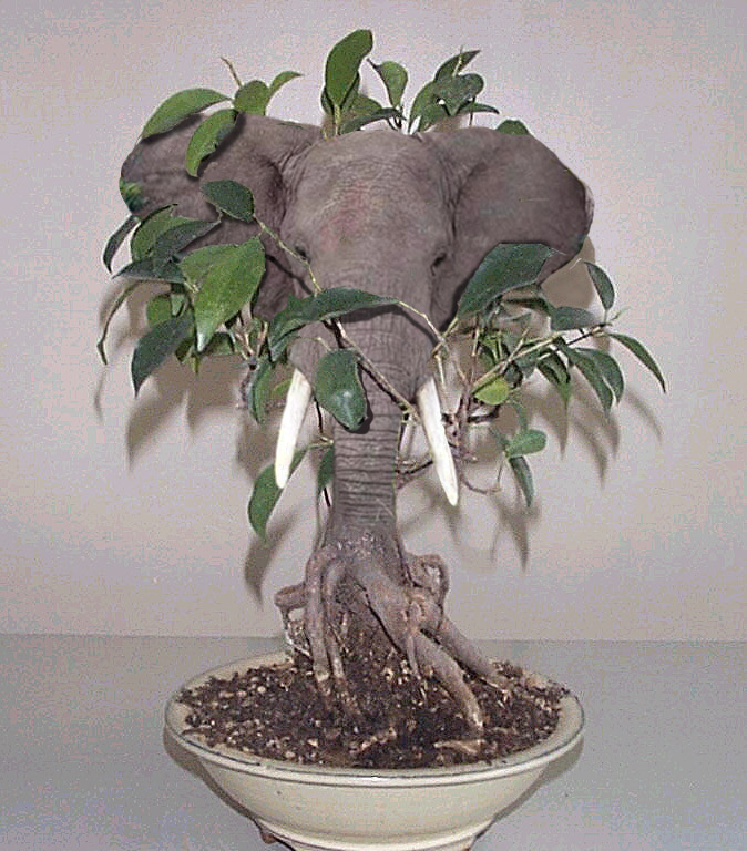 Diseño de Photoshop por Vortex para DesignCrowd (Community Contests) | Diseño #9141232