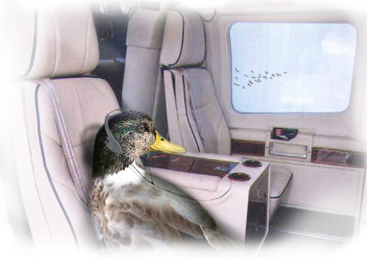 Photoshop Design by hipnoart for DesignCrowd (Community Contests) | Design #9143505