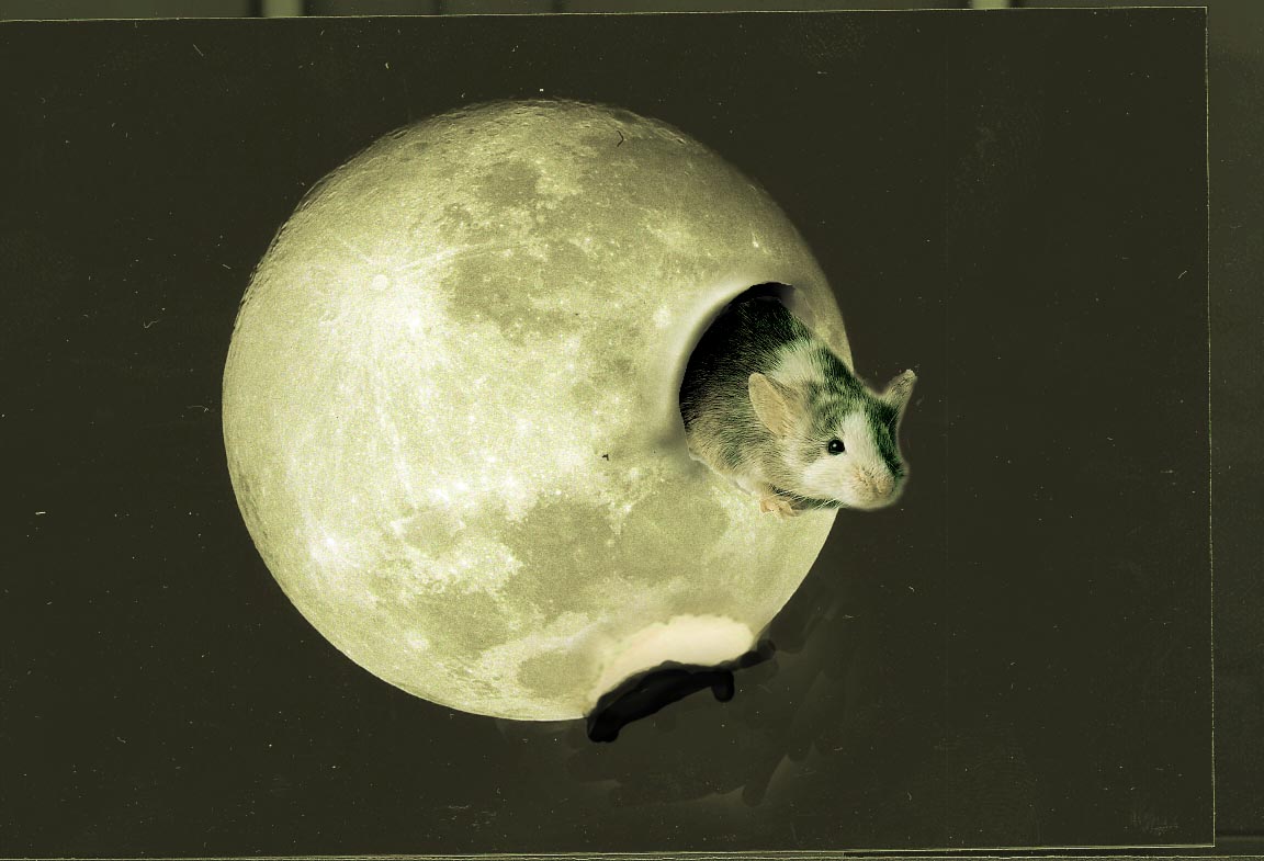 Photoshop Design by Anopheles for DesignCrowd (Community Contests) | Design #9143514