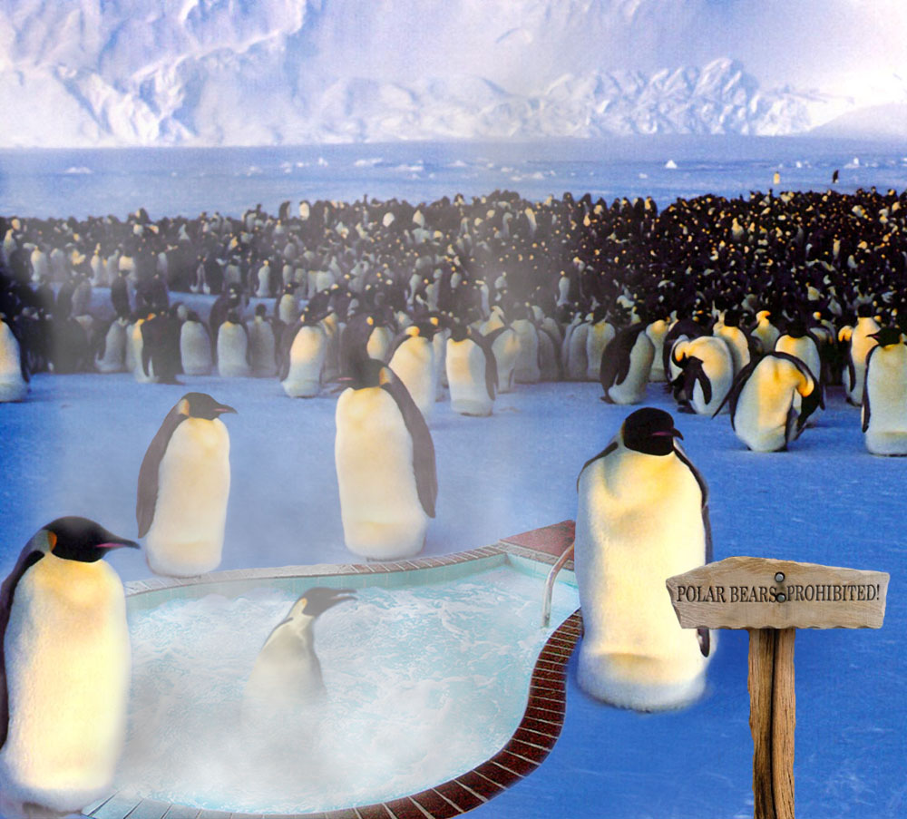 Photoshop-Design von Brass_Elephant für DesignCrowd (Community Contests) | Design #9143501