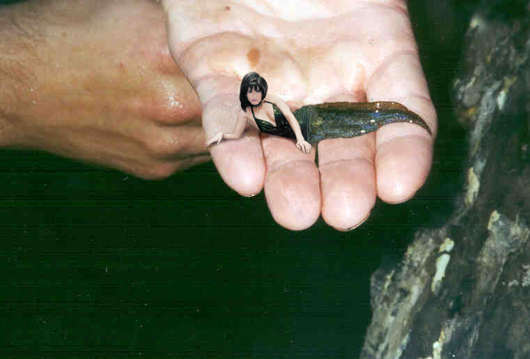 Diseño de Photoshop por KhaymaN para DesignCrowd (Community Contests) | Diseño #9126402