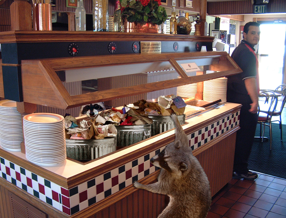 Photoshop Design by Matte1138 for DesignCrowd (Community Contests) | Design #9143522