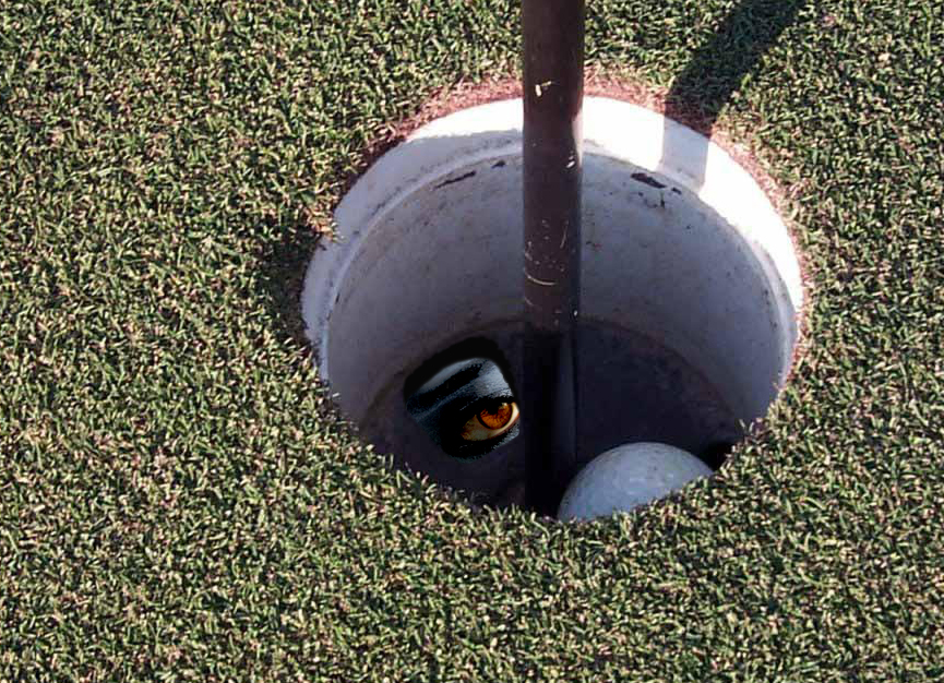 Photoshop-Design von patoloco für DesignCrowd (Community Contests) | Design #9126389