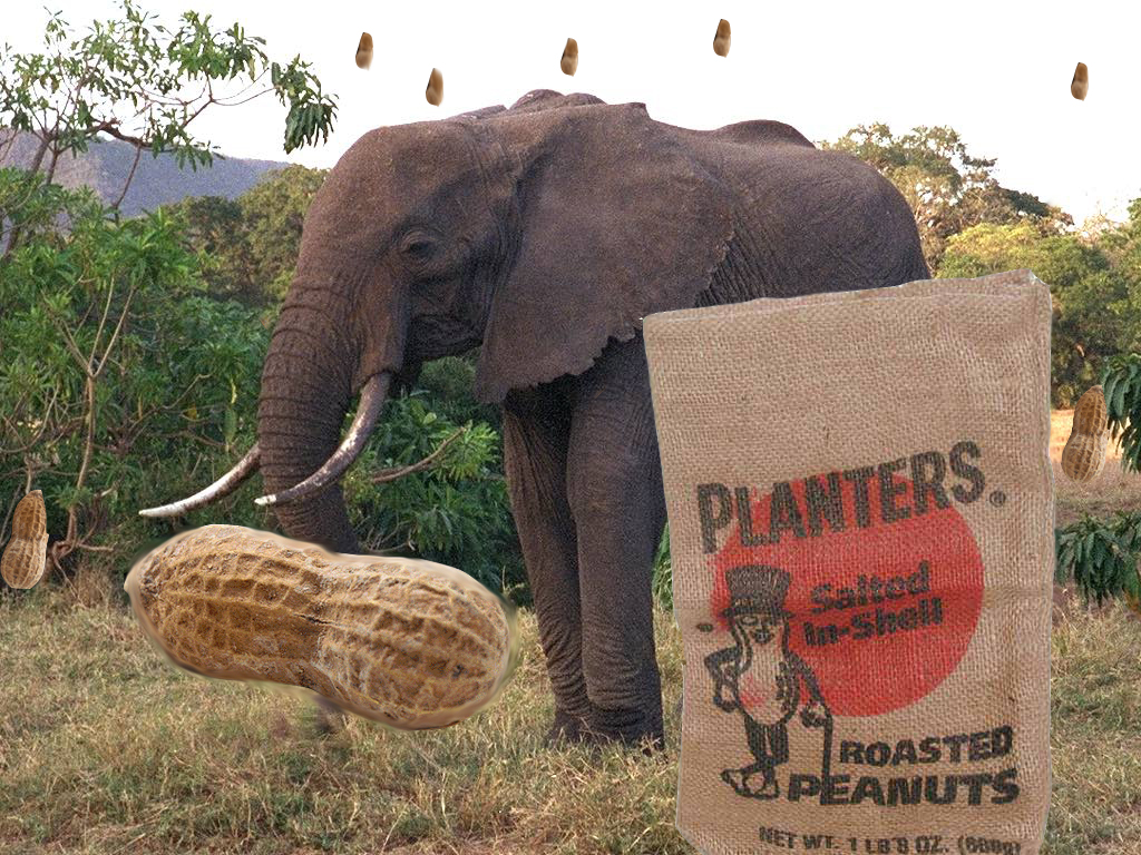 Photoshop Design by admapaluck for DesignCrowd (Community Contests) | Design #9143591