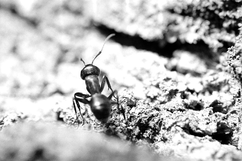 Photography by Six-Something for DesignCrowd (Community Contests) | Design #9143764