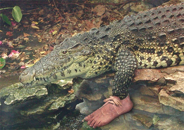 Photoshop Design by DeadElvis for DesignCrowd (Community Contests) | Design #9143525