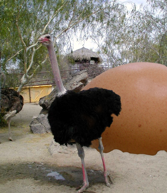 Photoshop-Design von Bb für DesignCrowd (Community Contests) | Design #9143549