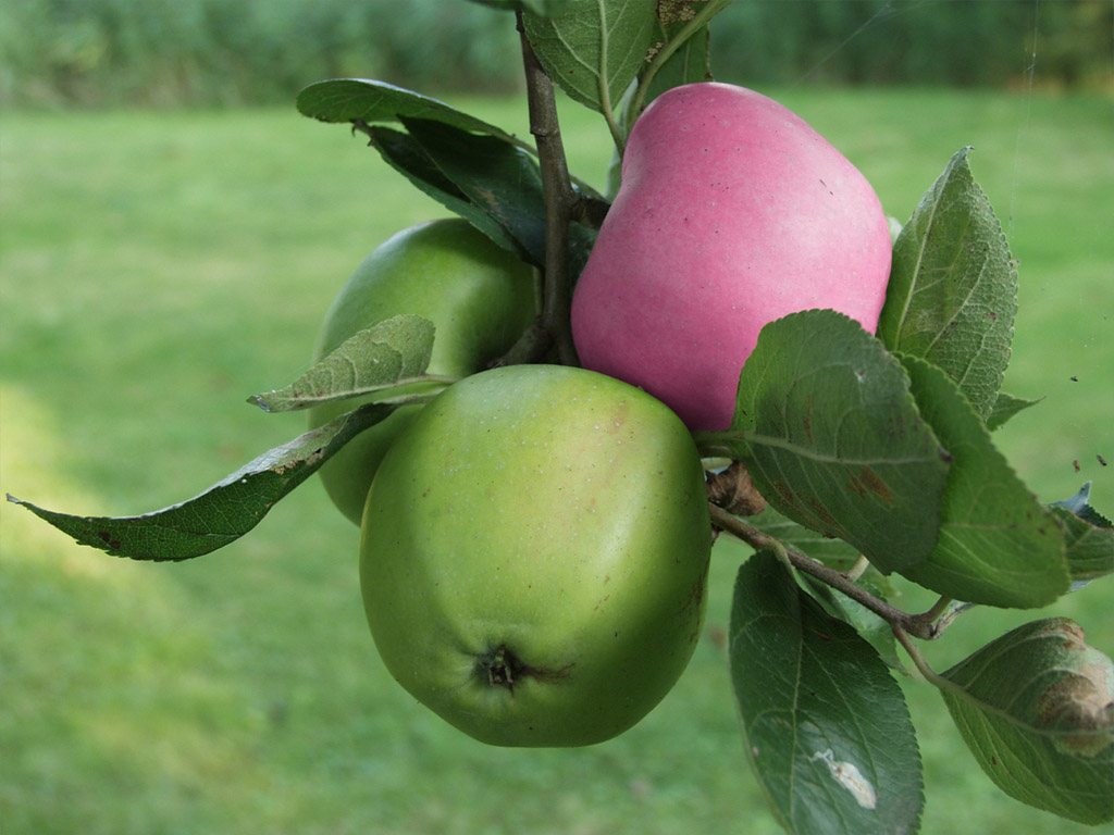 Photoshop Design by ecolio for DesignCrowd (Community Contests) | Design #9128251