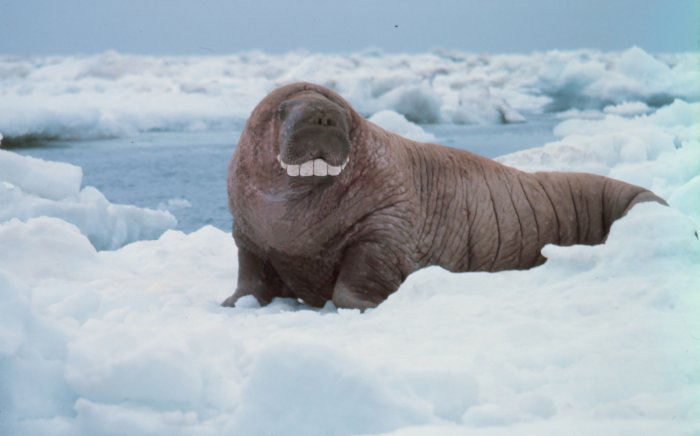 Photoshop Design by Ipkiss for DesignCrowd (Community Contests) | Design #9143753