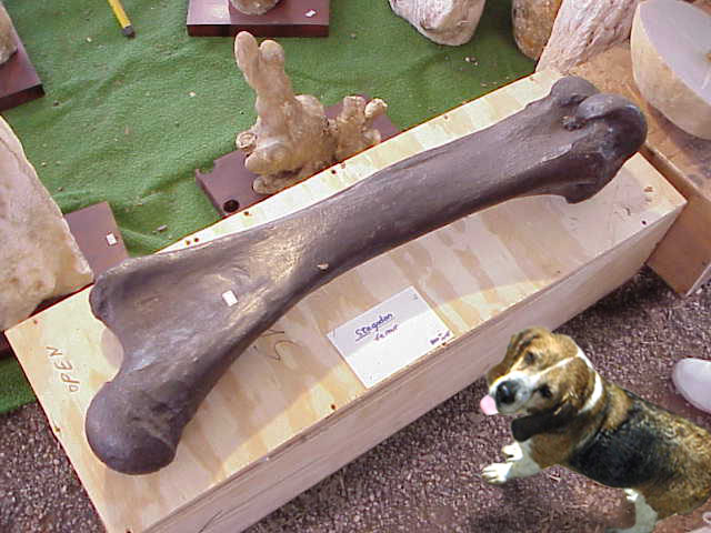 Photoshop Design by iivanov for DesignCrowd (Community Contests) | Design #9143763